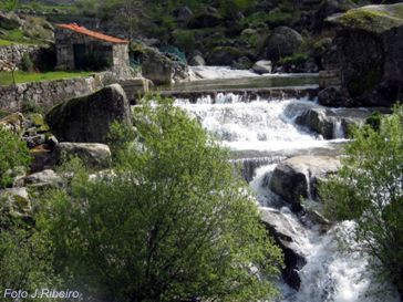 Ribeira de Loriga